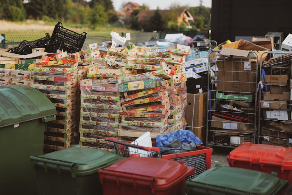 An outdoor scene showing a large pile of cardboard fruit crate boxes labeled 'fresh fruits', stacked irregularly on a paved surface, with some boxes leaning or partially collapsed. To the left, there are two large green wheelie bins with closed lids, positioned in the foreground. To the right, there is a metal cage containing various cardboard boxes and packaging materials, some labeled and some plain, along with a few smaller containers and wrapped items. A red shopping basket filled with miscellaneous waste and trash bags can be seen in front of the bins, with a blue plastic bag partially visible. The background includes a grassy area with trees, bushes, and a distant house with a sloped roof, under a bright, clear sky. The overall scene suggests a collection point for waste or recycled materials, typical in private rubbish removal or alternative waste handling contexts, supporting professional rubbish removal services like those provided by Rubbish Removal Hampstead.